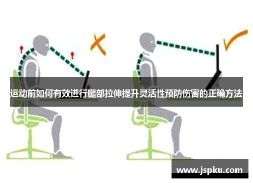 运动前如何有效进行腿部拉伸提升灵活性预防伤害的正确方法